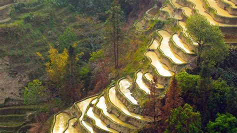 Rice terraces of Yuanyang, Yunnan, China | Windows Spotlight Images