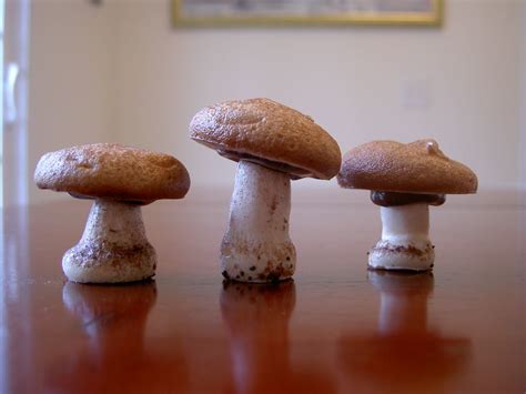 Meringue Mushrooms | Andrew Gatt | Flickr