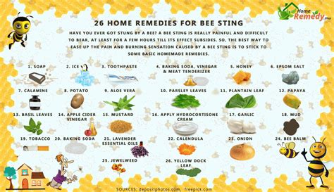 26 Home Remedies for Bee Sting - Home Remedies