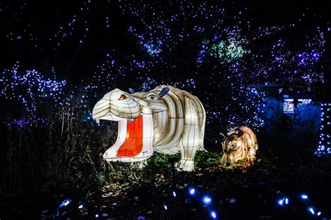 Everything We Saw at the Cincinnati Zoo's 37th-Annual Dazzling Festival ...