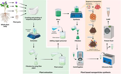 Graphical representation of biomediated synthesis of copper oxide ...