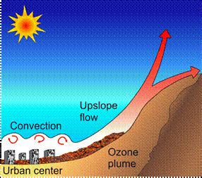 Thermal Circulations in Complex Terrain