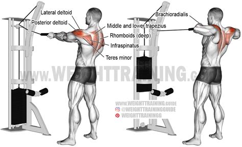 Standing cable rear delt row with rope instructions and video