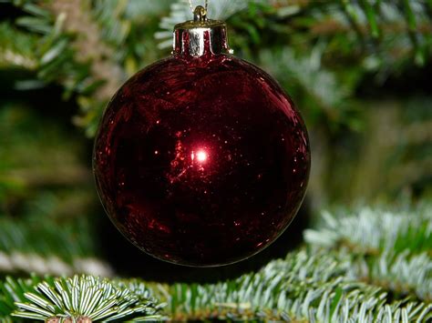 Free photo: Glass Ball, Christmas - Free Image on Pixabay - 5502