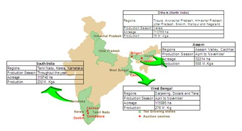 Tea Growing Regions