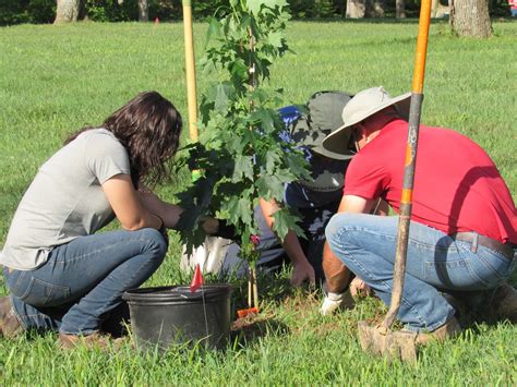 Northern Kentucky Urban & Community Forestry Council - Mini Tree Grants