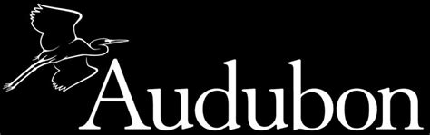 National Audubon Society Decides to Retain Name