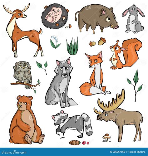 Wald Tiere Auf Weißem Hintergrund Niedlich Cartoon Vektor Abbildung - Illustration von kegel ...