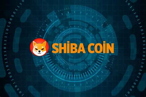 SHIB Coin Sees Massive Acquisition By Chinese Traders | Digital Market News