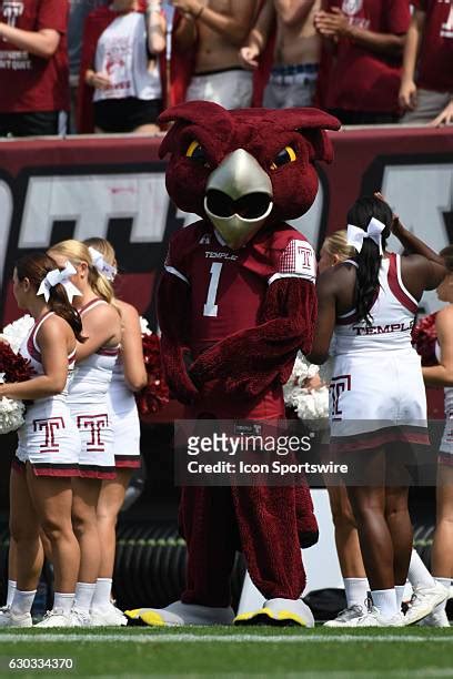 171 Temple University Mascot Stock Photos, High-Res Pictures, and ...