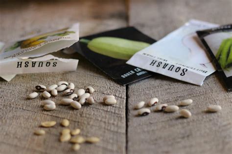 How to Test Seeds for Viability | DIYIdeaCenter.com