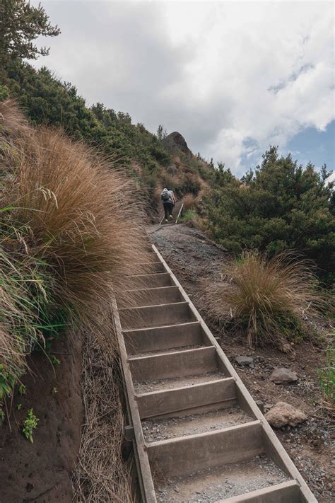 Hiking Tongariro Alpine Crossing: Everything You Need To Know About New Zealand's Best Day Hike ...