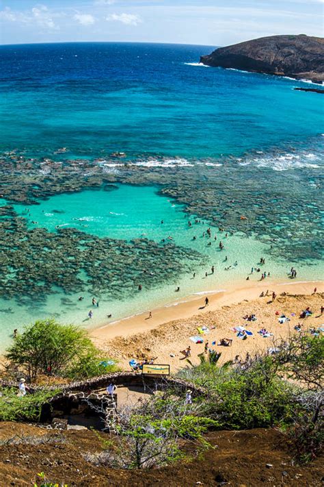 Kaneohe Bay Snorkeling: The Ultimate Guide - Hawaii Travel Guide