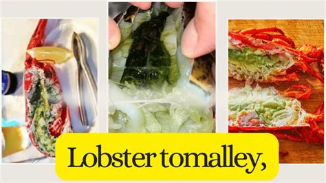 Is Lobster Tomalley Safe to Eat? Your Complete Guide and Recipes Inside ...