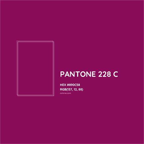 PANTONE 228 C Complementary or Opposite Color Name and Code (#890C58) - colorxs.com