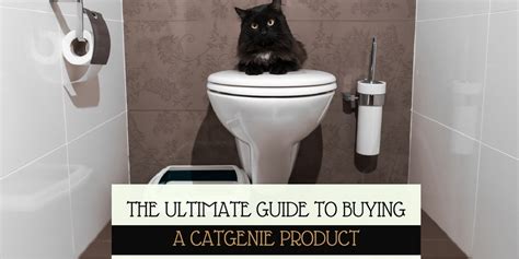 Catgenie reviews: The ultimate guide to buying a Catgenie product