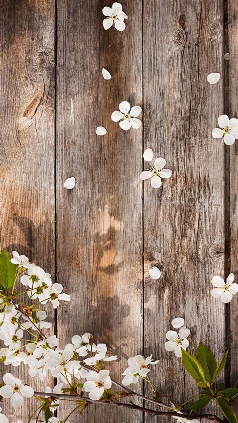 3840x2160px, 4K Free download | Rustic Flowers, aesthetics spring floor ...