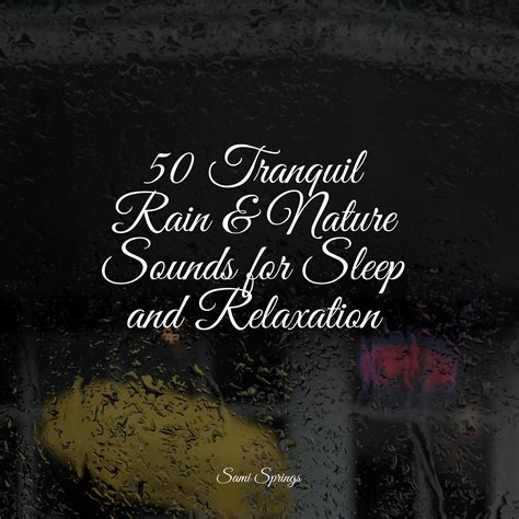 50 Tranquil Rain & Nature Sounds for Sleep and Relaxation - Sleep Songs 101 - 专辑 - 网易云音乐