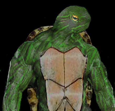 Ninja Turtle Unmasked by LordNightwalker on DeviantArt