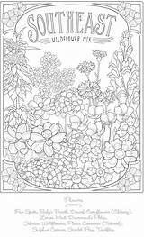 Welcome to Dover Publications  Dover coloring Pages Enchanted Forest sketch template
