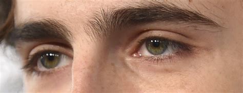 I’m curious why you say Timmy’s eyes are emerald... : Timothée Chalamet