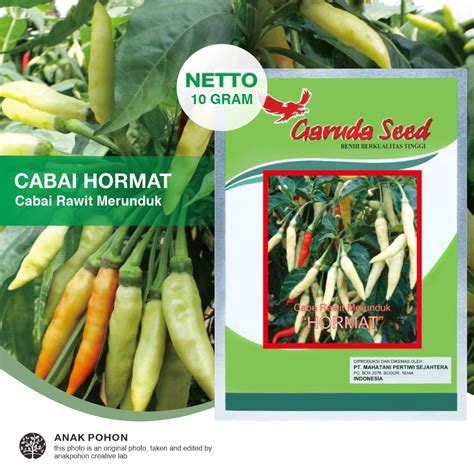 Jual (1 PACK) Benih Cabai Rawit Merunduk HORMAT Cabe Rawit Setan Pedas Unggul Seeds - Garuda ...