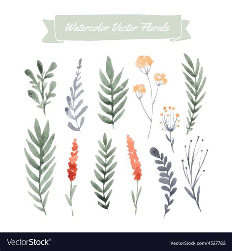 Watercolor flowers Royalty Free Vector Image - VectorStock