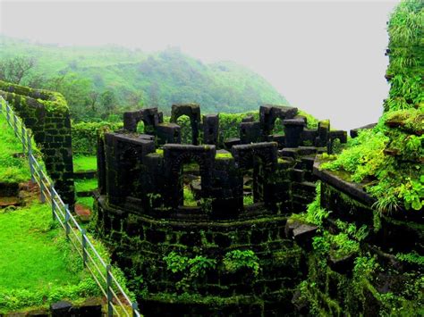 3 Must Visit Forts Built By Shivaji — Curious Halt