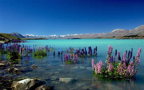 New Zealand Lake Tekapo Nature HD Wallpaper Preview | 10wallpaper.com