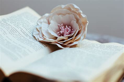 Book & Flower Royalty-Free Stock Photo