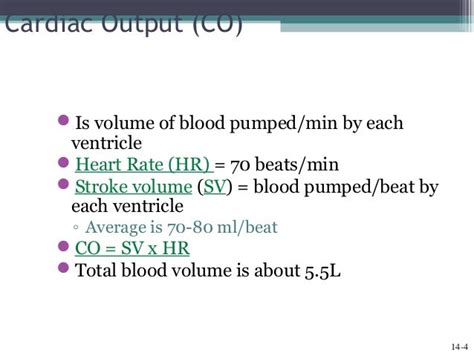 Cardiac output, blood flow, and blood pressure