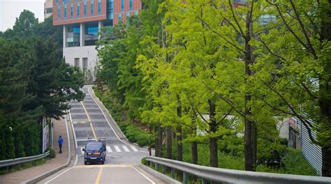 Visit Seoul National University in Seoul | Expedia