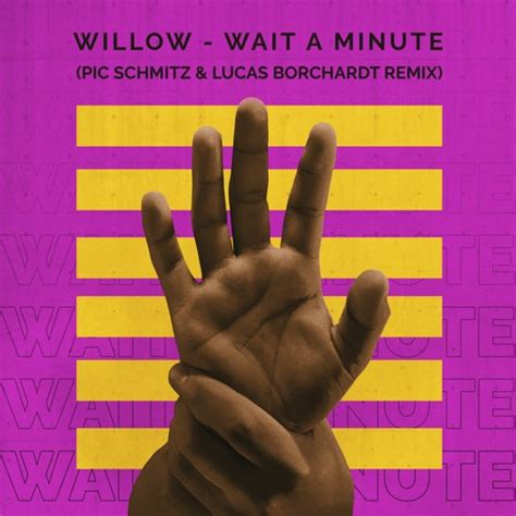 Stream WILLOW - Wait A Minute (Pic Schmitz & Lucas Borchardt Remix) by ...