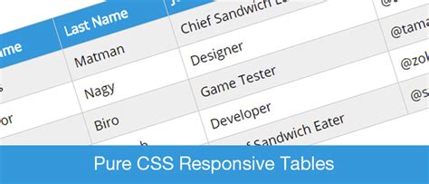 Table Html Css Responsive | Bruin Blog