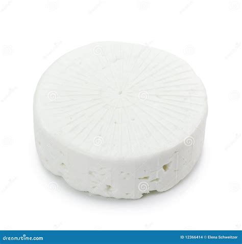 Goat milk cheese stock photo. Image of milk, studio, freshness - 12366414