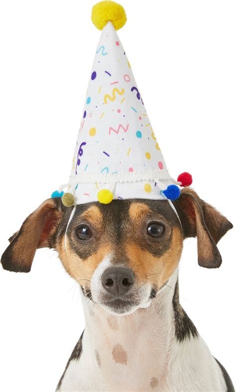 FRISCO Confetti Dog & Cat Birthday Hat, Small/Medium - Chewy.com