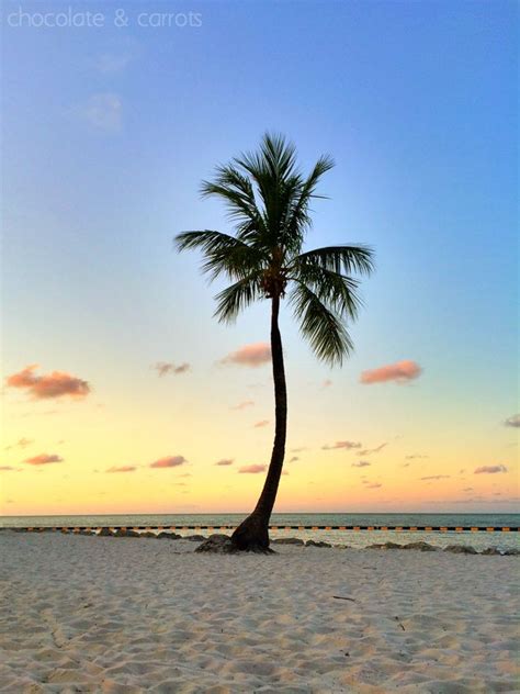 Tranquility Bay Beach Resort | Top beach destinations, Florida vacation ...