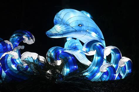 WildLanterns Dazzles at Seattle’s Woodland Park Zoo | ParentMap