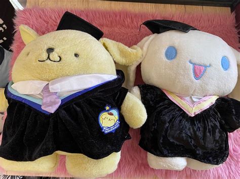 Pompompurin and Cinnamoroll Graduation edition plush, Hobbies & Toys, Toys & Games on Carousell