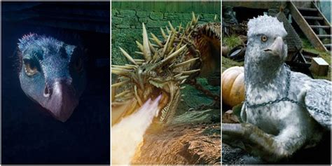 Harry Potter: 10 Things About Magical Creatures That Make No Sense