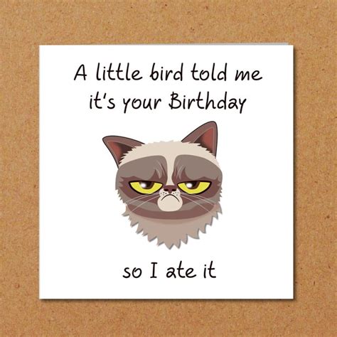 a card with an image of a cat's face and the words, a little bird told ...