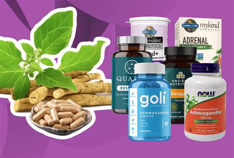 6 Best Ashwagandha Supplements of 2024 - The Nutrition Insider