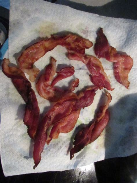 Crispy Fried Bacon — Weasyl