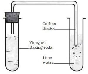 NCERT 7th Class (CBSE) Science: Chemical and Chemical Changes - Page 5 of 7 - Class Notes