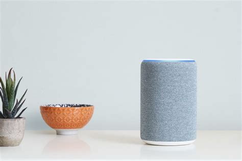 Echo Dot vs Alexa: Discover the Differences