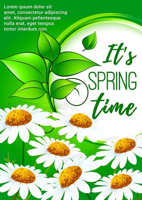 Spring Poster Design With Daisy Flowers Stock Vector - Illustration of illustration, green: 89789619