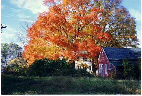 Autumn In Brookfield - New England