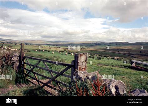 Yorkshire Dales UK Britain England Stock Photo - Alamy