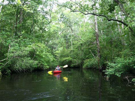 Pocomoke River State Park | Historic Horse Trails - Maryland Equine ...