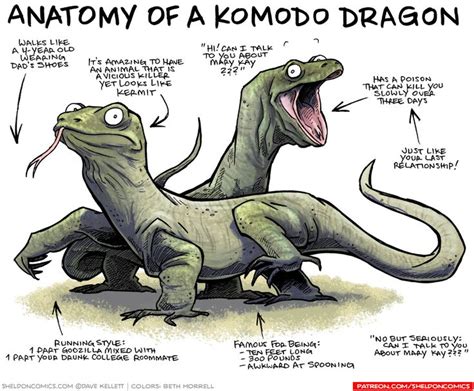 Anatomy of a Komodo Dragon #funny #funnyPicture #FunnyText #funnyVideo #funnyPost #funnyQuotes # ...